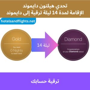 تحدي هيلتون الماسي، الحالة الذهبية لمدة 90 يومًا، إقامة 14 ليلة، الترقية إلى الفئة الماسية حتى 31/03/2026