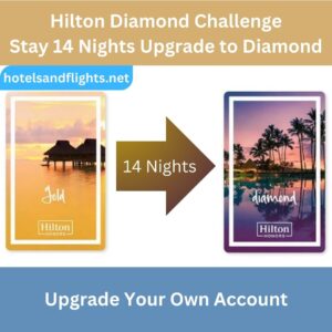 Hilton Diamond Challenge, 90 Days Gold Status, Stay 14 Nights Upgrade to Diamond Until 31/03/2027